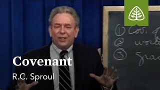 Covenant What is Reformed Theology with RC Sproul [upl. by Giana627]