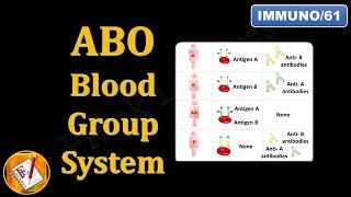 ABO Blood Group System FLImmuno61 [upl. by Feeley252]