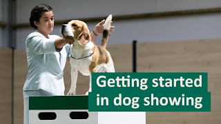 How to get started in Dog Showing [upl. by Merari]