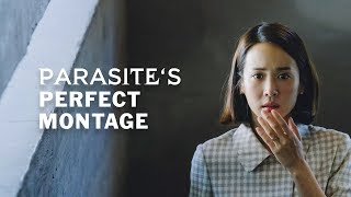 Parasites Perfect Montage [upl. by Nniuq]