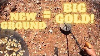 Big GOLD Nuggets Detecting new ground in outback Western Australia pays off for the boys [upl. by Hayes]