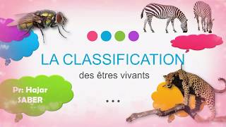 La classification des animaux 1AC partie 1 [upl. by Wolk760]