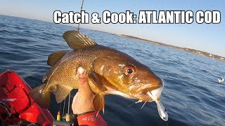 Catch amp Cook 38 ATLANTIC COD [upl. by Muffin288]