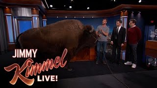 Wild Animals with Dave Salmoni amp Andy Samberg [upl. by Etnelav]