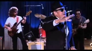 Blues Brothers Concert Intro [upl. by Jillane970]