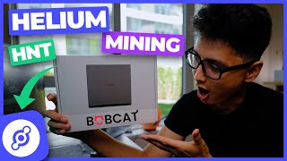 Helium Mining HNT Bobcat Miner 300 Unboxing amp How to Setup [upl. by Ekaj]