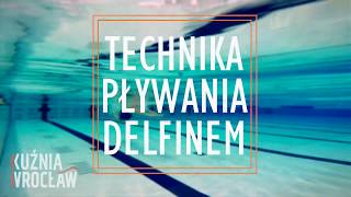 Technika pływania delfinem w czterech krokach [upl. by Olette510]