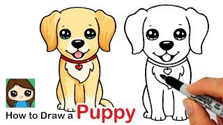 How to Draw a Labrador  Golden Retriever Puppy Easy [upl. by Aralomo]