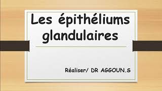 Les épithéliums Glandulaires [upl. by Ltsyrk]