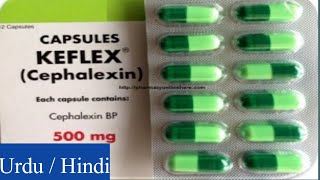 Keflex Cephalexin Capsules uses side effects and Warning [upl. by Takeshi]