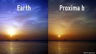 NASA’s Study on ProximaB Reveals It’s Secrets  Science Of Space [upl. by Tiloine]