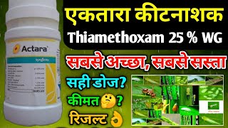 Syngenta का Actara कीटनाशक  Thiamethoxam 25 WG  systemic insecticide  सस्ता और अच्छा कीटनाशक [upl. by Ahsatal]