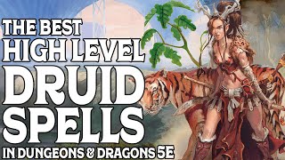 The Best High Level Druid Spells In Dungeons and Dragons 5e [upl. by Twedy]