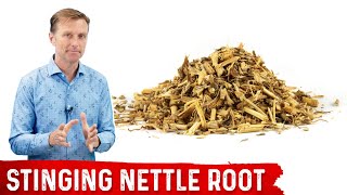 5 Benefits of Stinging Nettle Root [upl. by Schreck]