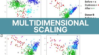 Multidimensional Scaling Analysis using SPSS  Perceptual Maps [upl. by Wiese]