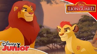 👊 Battle of the Pride  The Lion Guard  Disney Channel Africa [upl. by Nauqas]