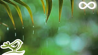 Relaxing Music amp Rain Sounds  Beautiful Piano Music Background Music Sleep Music • You amp Me [upl. by Demodena623]