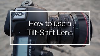 How to use a TiltShift Lens [upl. by Temple]