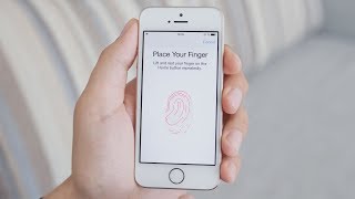 How Does Fingerprint Scanning Work [upl. by Kalle938]