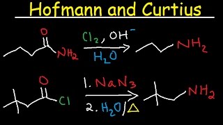 Hofmann Rearrangement and Curtius Reaction Mechanism  Primary Amides amp Acid Chlorides to Amines [upl. by Rotberg572]