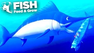 Killer SwordFish  Feed And Grow  Ep7 [upl. by Losiram]