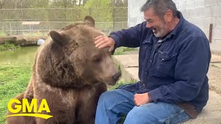 Rescue bear bonds with a worker at a wildlife sanctuary l GMA [upl. by Evets]