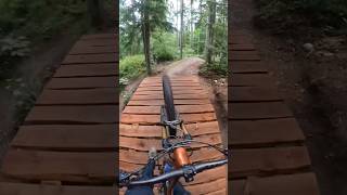 “Big Tree” Duthie Hill MTB Park [upl. by Frieder]