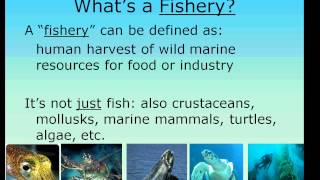 Fisheries Management Intro part 1 [upl. by Eward39]