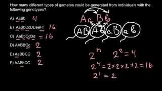 Gametes and genotypes simple formula for exam [upl. by Adnulahs]