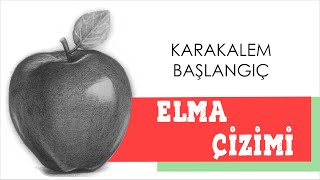 Kolay Elma Çizimi Karakalem Basit Çizim [upl. by Fabria280]