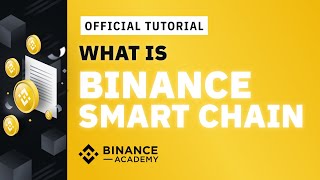 What is Binance Smart Chain BSC and How to Use It  Binance Official Guide [upl. by Oinotla]