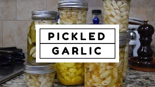 How to Make Homemade Pickled Garlic [upl. by Taran972]