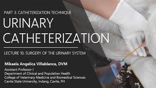 Lecture 104 Urinary Catheterization Technique [upl. by Eurd739]