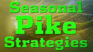 Seasonal Pike Strategies [upl. by Bashuk]