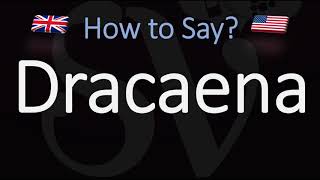 How to Pronounce Dracaena CORRECTLY [upl. by Elwira967]