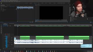 How to repair your muffled Audio Premiere Pro [upl. by Nosecyrb797]