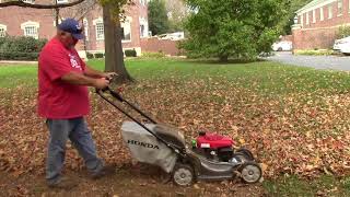 Mulching Tree Leaves for a Better Lawn [upl. by Lipsey856]