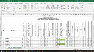 lista de cotejos en excel [upl. by Sheaff974]