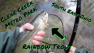 Amazing Trout Fishing in Ohio Clear Creek Metro Park [upl. by Enimsay694]