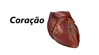 Anatomia do Coração em 3D [upl. by Carlotta861]