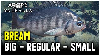 Assassins Creed Valhalla  Bream Fish Locations Big  Regular  Small [upl. by Nnylorac891]