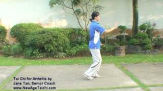 Tai Chi for Arthritis Front Demo [upl. by Eityak]