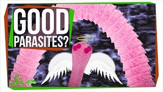 Why You Might Want Parasitic Worms [upl. by Haldas]