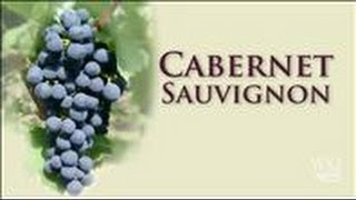 Cabernet Sauvignon A Prestigious Grape to Grow [upl. by Ado234]