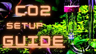 EVERYTHING YOU NEED TO KNOW TO SETUP A CO2 SYSTEM FOR YOUR AQUARIUM [upl. by Fontes494]