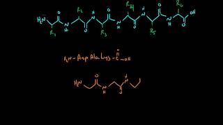 Drawing Peptides [upl. by Akoyn]