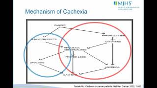 Management of Anorexia Cachexia [upl. by Chouest]