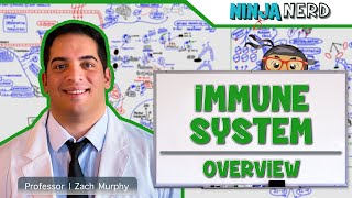 Immunology  Immune System Overview [upl. by Pammi]