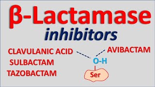 Betalactamase inhibitors [upl. by Frohman477]