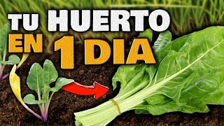 Haz tu HUERTO en Casa SIN COMPRAR SEMILLAS PLANTAS EN SOLO 1 DÍA  Huerto Urbano con POCO ESPACIO [upl. by Llebpmac]